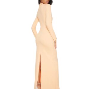 Mesh Panel detail High Neck Maxi Dress