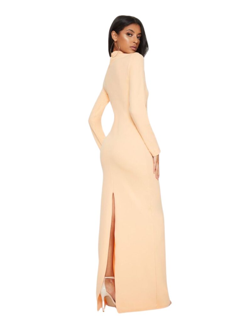 Mesh Panel detail High Neck Maxi Dress