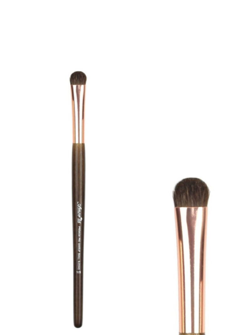 Makeup brush