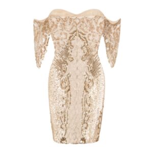 Sequin & Embroidery Embellished Mini Bodycon Dress