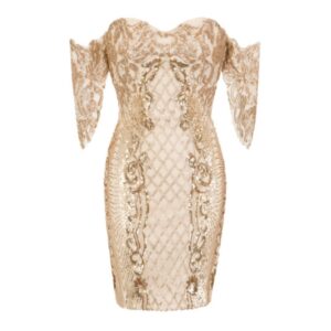 Sequin & Embroidery Embellished Mini Bodycon Dress