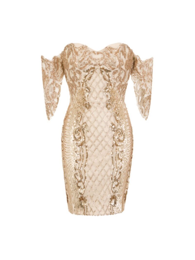 Sequin & Embroidery Embellished Mini Bodycon Dress
