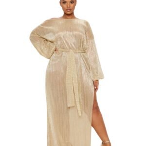 Plus Gold Metallic Sheer Pleated Maxi Dress