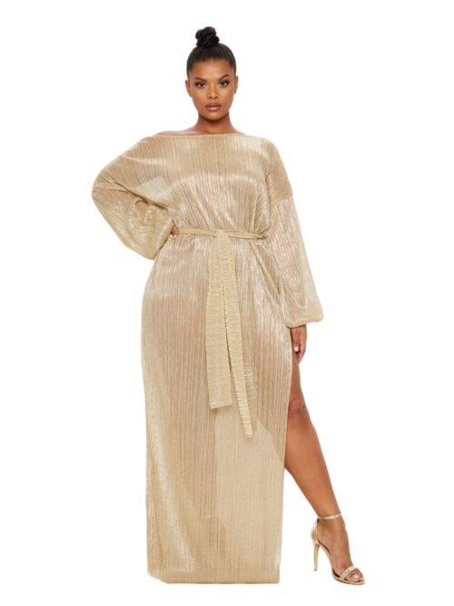 Plus Gold Metallic Sheer Pleated Maxi Dress
