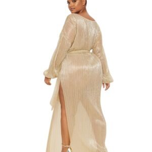 Plus Gold Metallic Sheer Pleated Maxi Dress