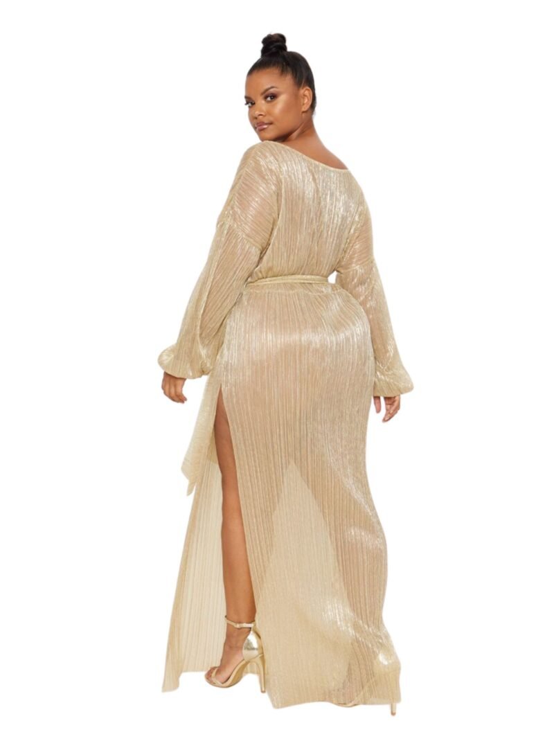 Plus Gold Metallic Sheer Pleated Maxi Dress